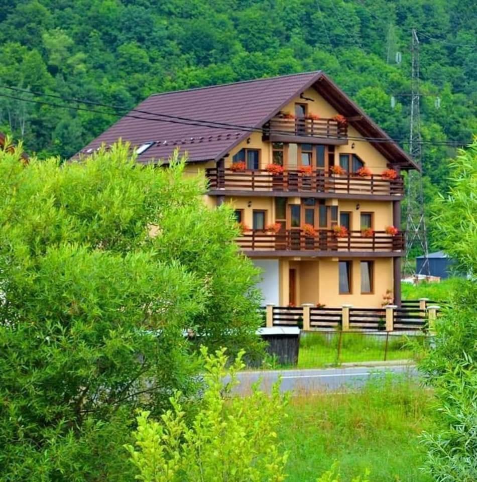 فندق Casa Vadeanu سيغيتو مارماتيي المظهر الخارجي الصورة